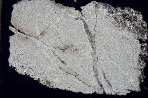 Cross Polarized, S49198