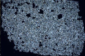 Cross Polarized, S49200