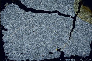 Cross Polarized, S49203