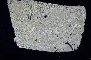 Cross Polarized, S49223