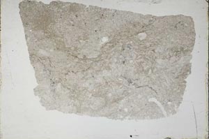 Plane Polarized, S49223