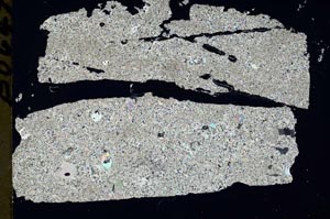 Cross Polarized, S49223/A