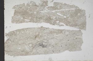 Plane Polarized, S49223/A