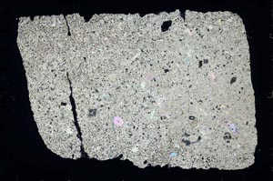 Cross Polarized, S49224