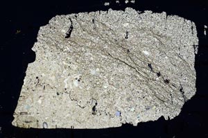 Cross Polarized, S49224/A