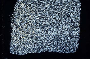 Cross Polarized, S49230