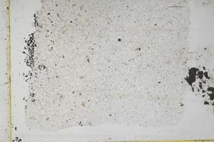 Plane Polarized, S49230