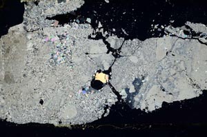 Cross Polarized, S49231