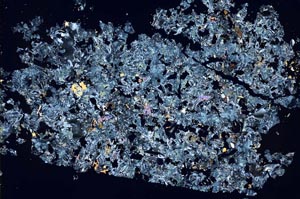 Cross Polarized, S49236