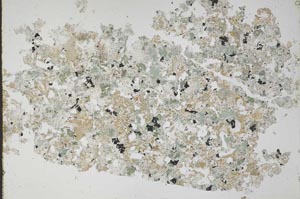 Plane Polarized, S49236