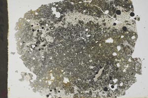 Plane Polarized, S49237