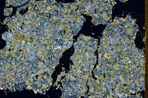 Cross Polarized, S49239