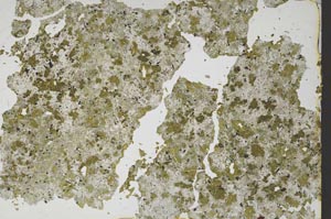 Plane Polarized, S49239