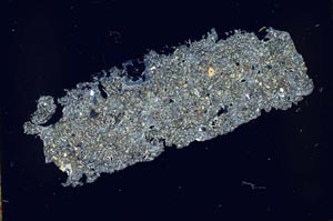 Cross Polarized, S49240