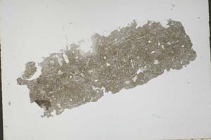 Plane Polarized, S49240