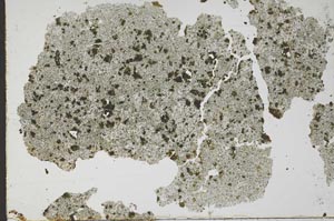 Plane Polarized, S49241