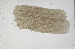 Plane Polarized, S49272