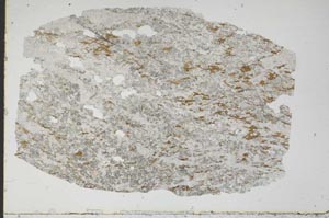 Plane Polarized, S49297