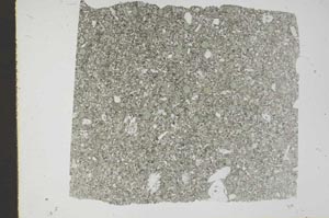 Plane Polarized, S49309