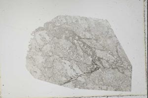 Plane Polarized, S49314
