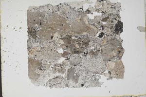 Plane Polarized, S49317