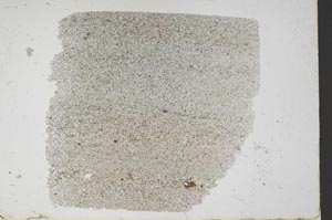 Plane Polarized, S49318