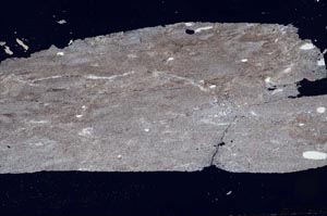 Cross Polarized, S49330