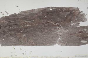 Plane Polarized, S49330