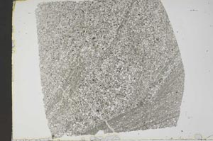 Plane Polarized, S49331