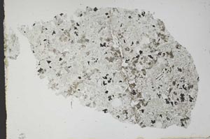 Plane Polarized, S49397