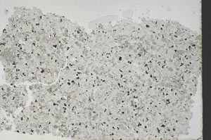 Plane Polarized, S49402