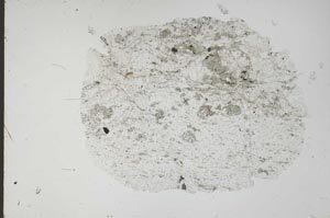 Plane Polarized, S49444