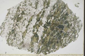 Plane Polarized, S49446