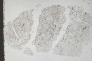 Plane Polarized, S49447