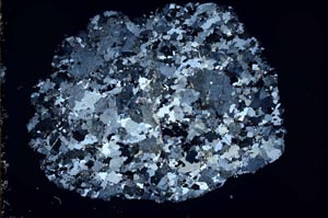 Cross Polarized, S49448