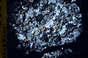 Cross Polarized, S49449