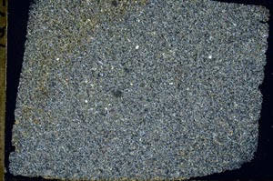 Cross Polarized, S49474