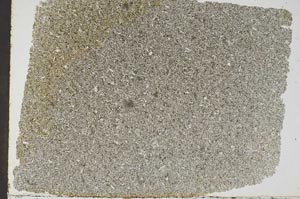 Plane Polarized, S49474