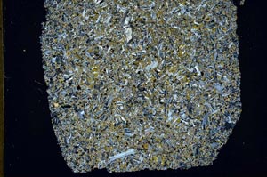 Cross Polarized, S49475