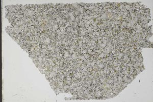 Plane Polarized, S49477