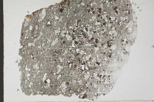 Plane Polarized, S49479