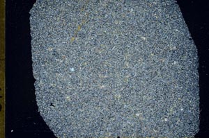 Cross Polarized, S49484