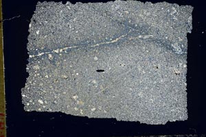 Cross Polarized, S49485