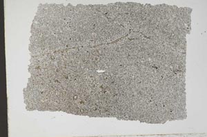 Plane Polarized, S49485