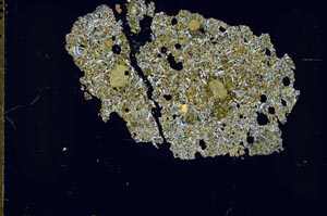 Cross Polarized, S49486