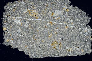 Cross Polarized, S49487