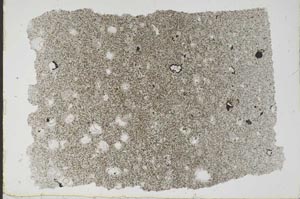 Plane Polarized, S49488