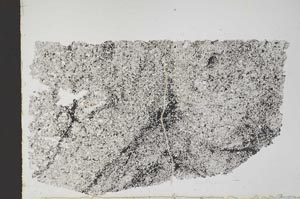 Plane Polarized, S49489