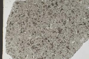 Plane Polarized, S49490