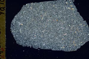 Cross Polarized, S49493